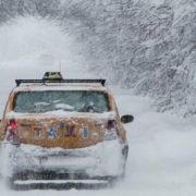 Зимова негода занурить Україну в неймовірний снігопад, мороз чекає на цілі міста: синоптики про крижаний дощ і холод