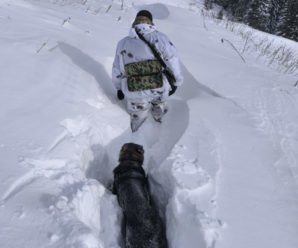 Донеччанин та черкащанин чотири дні блукали в горах, поки не вийшли до підрозділу прикордонників.