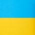 Мобілізація після 1 лютого накриє штрафами чоловіків масово, ТЦК висунули жорстку умову цій групі: повістки, ВЛК і ЗСУ