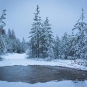 Україну скують морози: у яких регіонах сильно похолодає і буде сніг