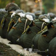 🪂 Перший крок у небо: десантники 77-ї бригади здійснюють перші стрибки з парашутом